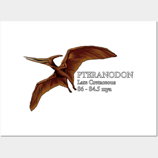 Realistic drawing of the Pteranodon Posters and Art